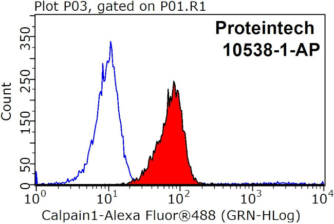 Calpain 1 Antibody in Flow Cytometry (Flow)