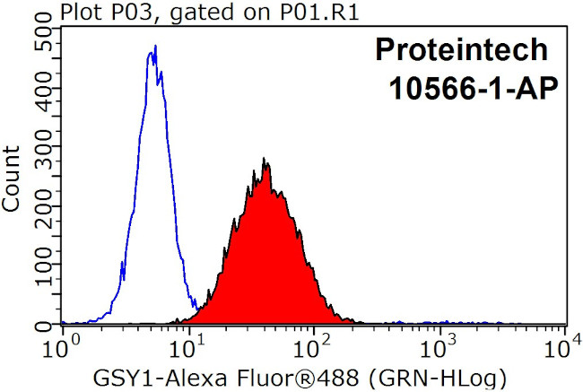 GYS1 Antibody in Flow Cytometry (Flow)