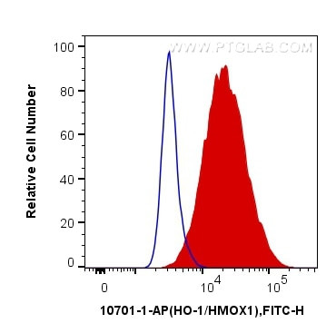 HO-1/HMOX1 Antibody in Flow Cytometry (Flow)