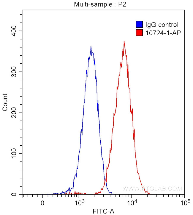 NRAS Antibody in Flow Cytometry (Flow)