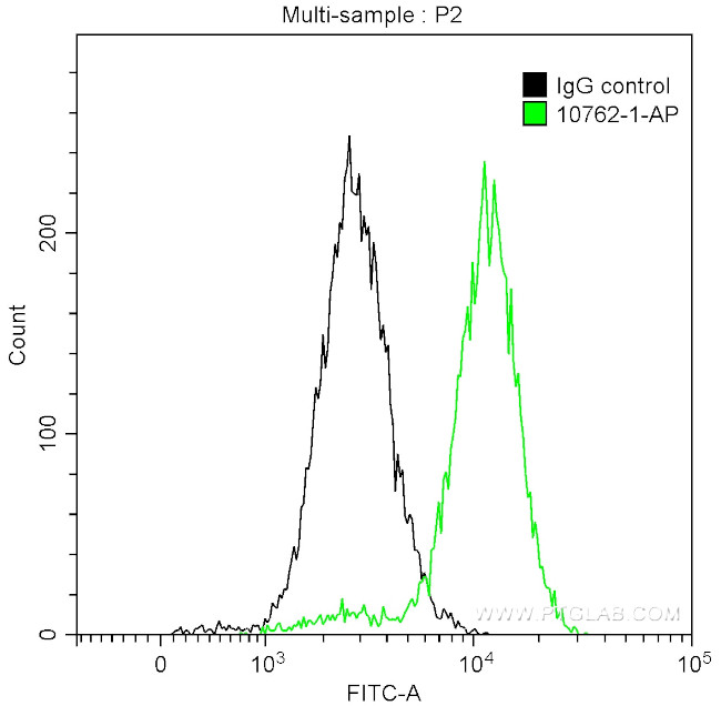 CDK1 Antibody in Flow Cytometry (Flow)