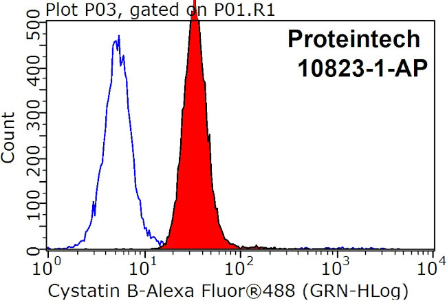 Cystatin B Antibody in Flow Cytometry (Flow)