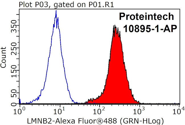 LMNB2 Antibody in Flow Cytometry (Flow)