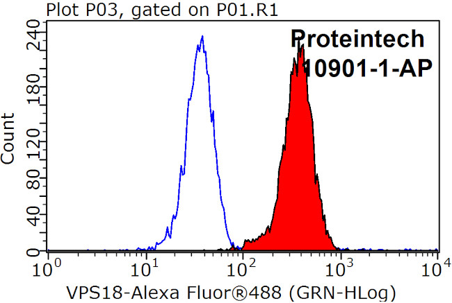 VPS18 Antibody in Flow Cytometry (Flow)