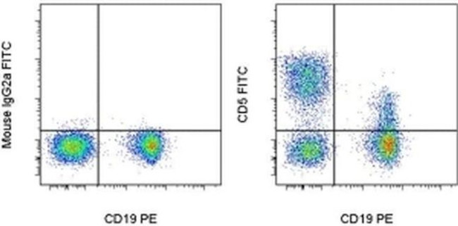 CD5 Antibody in Flow Cytometry (Flow)