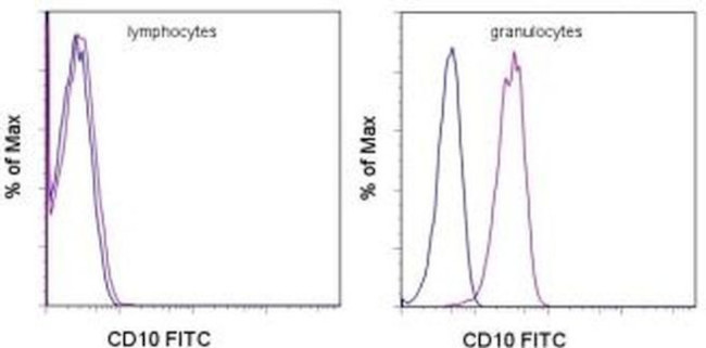 CD10 Antibody in Flow Cytometry (Flow)