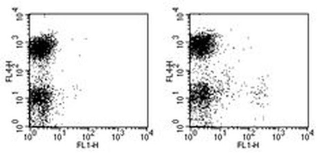 CD11c Antibody in Flow Cytometry (Flow)