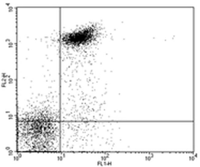 CD16/CD32 Antibody in Flow Cytometry (Flow)