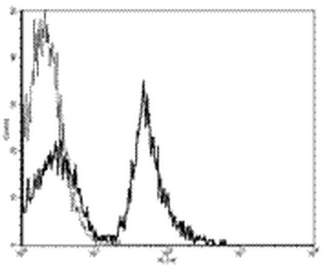 CD19 Antibody in Flow Cytometry (Flow)