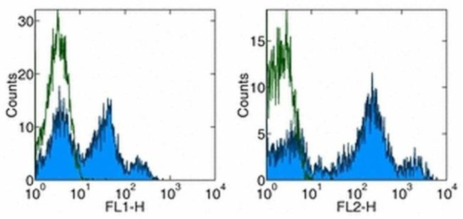 CD26 Antibody in Flow Cytometry (Flow)