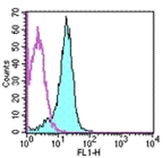 CD31 (PECAM-1) Antibody in Flow Cytometry (Flow)