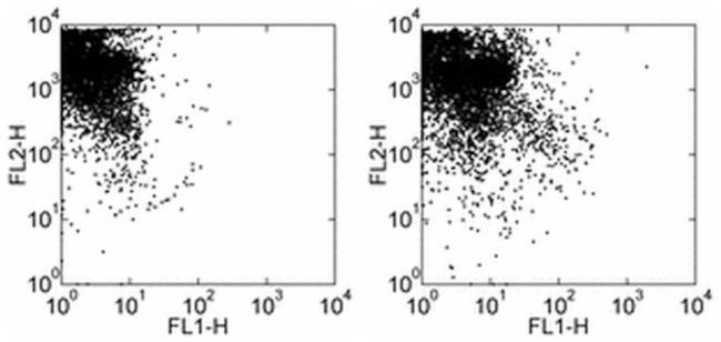 CD34 Antibody in Flow Cytometry (Flow)