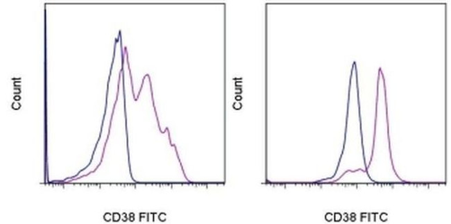 CD38 Antibody in Flow Cytometry (Flow)