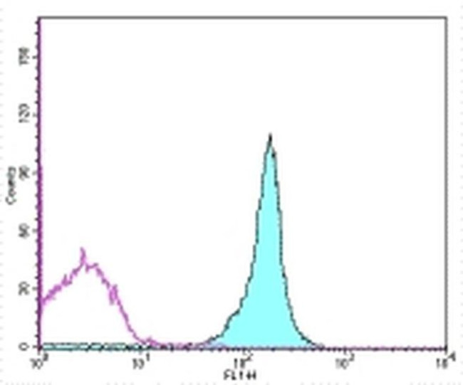 CD45.2 Antibody in Flow Cytometry (Flow)