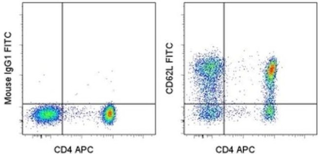 CD62L (L-Selectin) Antibody in Flow Cytometry (Flow)