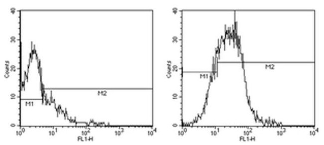 CD80 (B7-1) Antibody in Flow Cytometry (Flow)