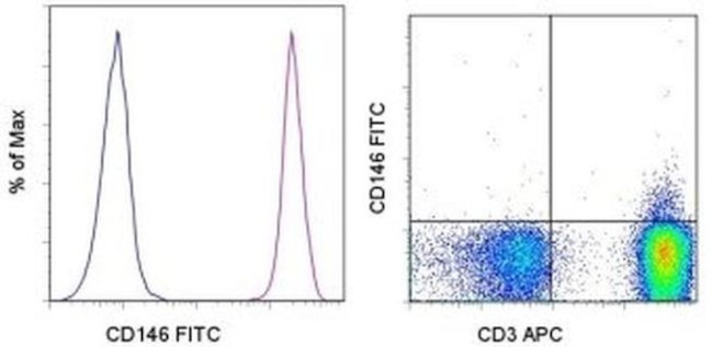 CD146 Antibody in Flow Cytometry (Flow)