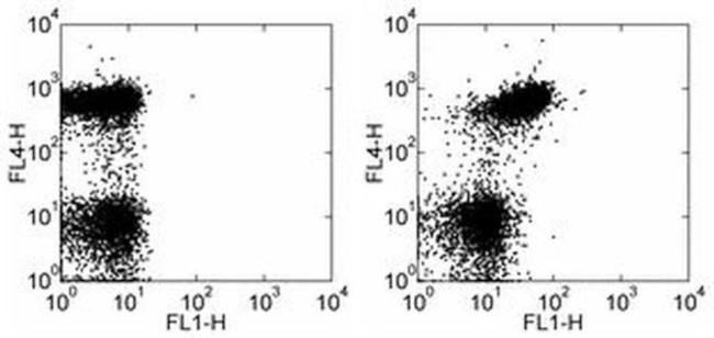 CD150 Antibody in Flow Cytometry (Flow)