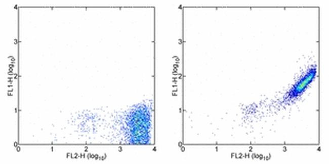 Mouse IgG (H+L) Secondary Antibody in Flow Cytometry (Flow)