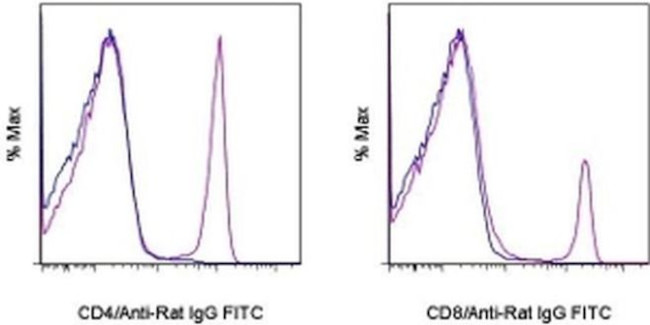 Rat IgG (H+L) Secondary Antibody in Flow Cytometry (Flow)