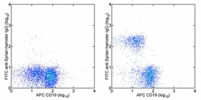 Syrian Hamster IgG (H+L) Secondary Antibody in Flow Cytometry (Flow)