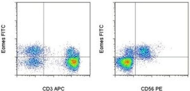 EOMES Antibody in Flow Cytometry (Flow)