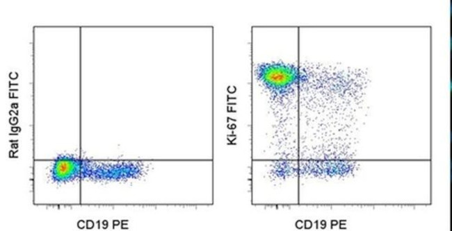 Ki-67 Antibody in Flow Cytometry (Flow)