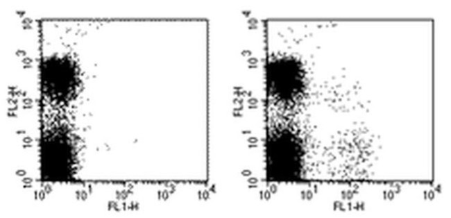 Ly-49I Antibody in Flow Cytometry (Flow)