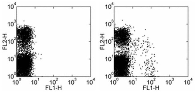 NKG2A/C/E Antibody in Flow Cytometry (Flow)