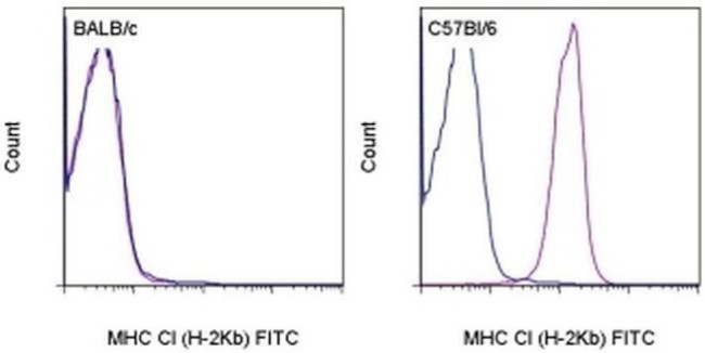 MHC Class I (H-2Kb) Antibody in Flow Cytometry (Flow)