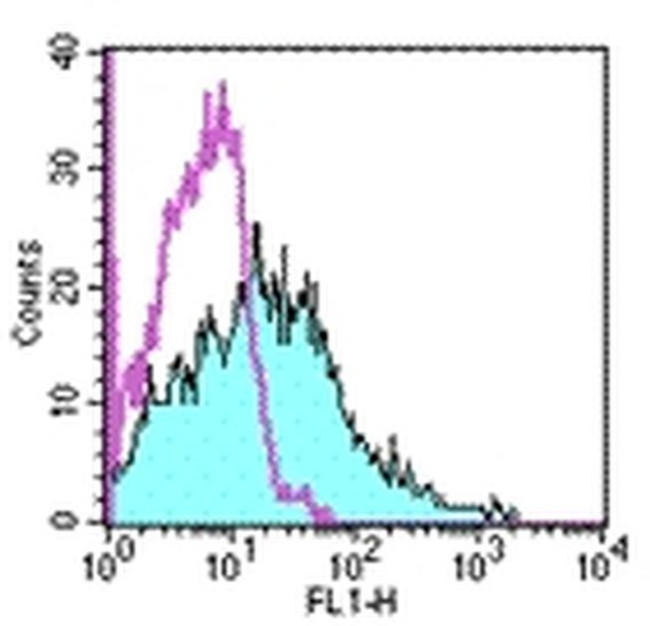 CD107b (LAMP-2) Antibody in Flow Cytometry (Flow)