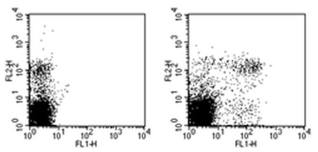 Ly-49C/I/F/H Antibody in Flow Cytometry (Flow)