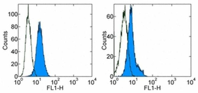 Zap-70 Antibody in Flow Cytometry (Flow)