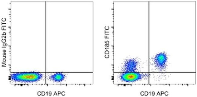 CD185 (CXCR5) Antibody in Flow Cytometry (Flow)