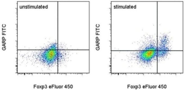 GARP Antibody in Flow Cytometry (Flow)