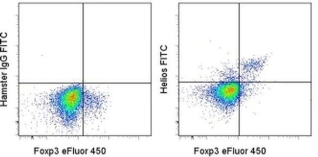 HELIOS Antibody in Flow Cytometry (Flow)