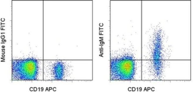 IgM Antibody in Flow Cytometry (Flow)