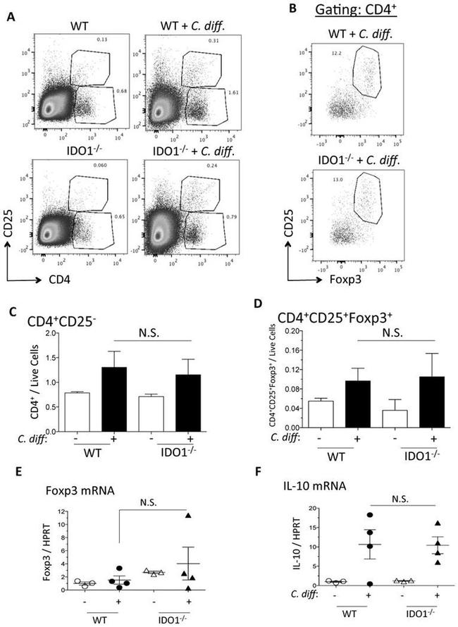 CD25 Antibody in Flow Cytometry (Flow)