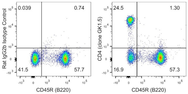 CD4 Antibody