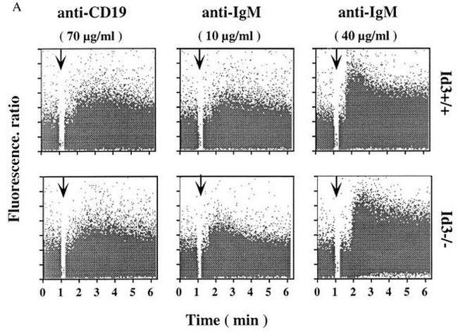 CD45R (B220) Antibody in Flow Cytometry (Flow)