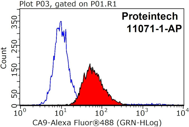 CA9 Antibody in Flow Cytometry (Flow)