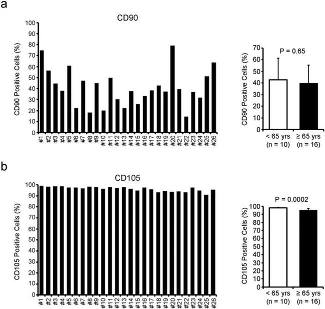 CD105 (Endoglin) Antibody in Flow Cytometry (Flow)