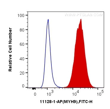 MYH9 Antibody in Flow Cytometry (Flow)