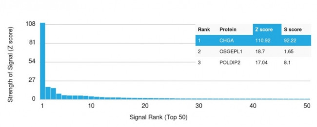 Chromogranin A/CHGA Antibody in Peptide array (ARRAY)