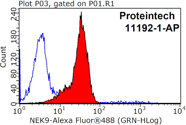 NEK9 Antibody in Flow Cytometry (Flow)