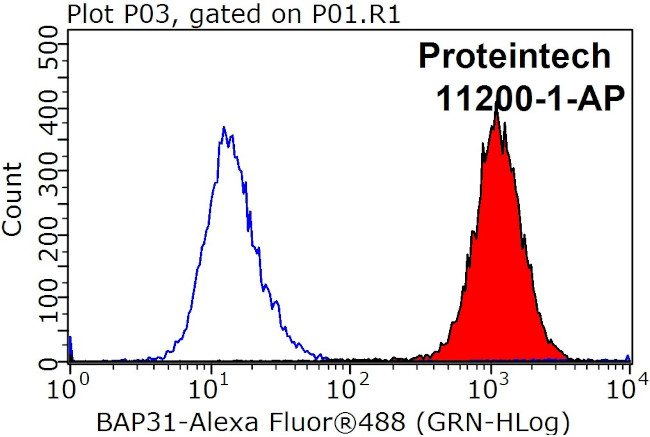 BAP31 Antibody in Flow Cytometry (Flow)