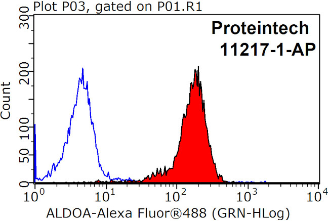 ALDOA Antibody in Flow Cytometry (Flow)