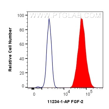 FGF-2 Antibody in Flow Cytometry (Flow)