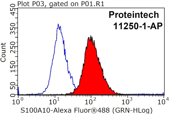 S100A10 Antibody in Flow Cytometry (Flow)