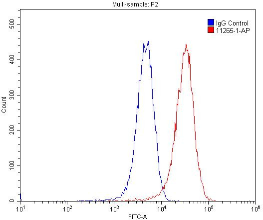 CD31 Antibody in Flow Cytometry (Flow)